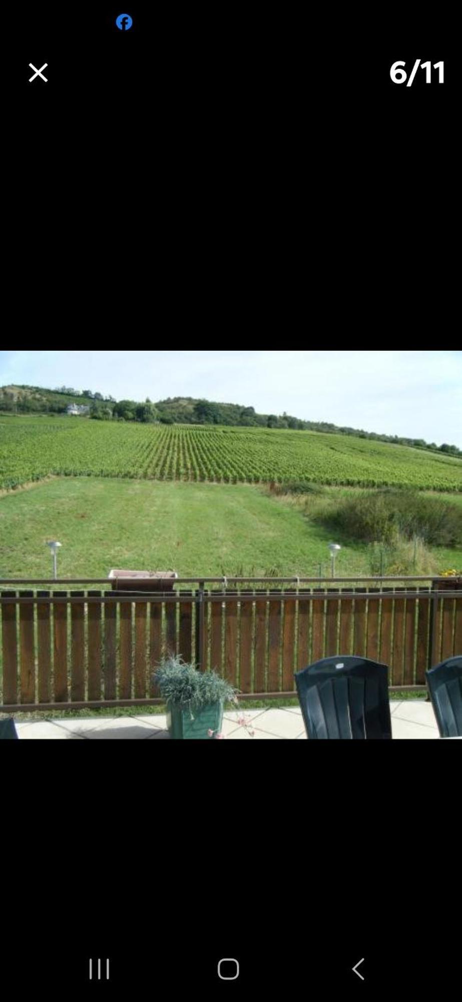 Maison Au Milieu Des Vignes Moroges Dış mekan fotoğraf